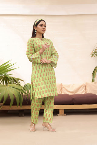 2 Pcs Printed Lawn Suit - ZARA 2.0