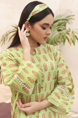 2 Pcs Printed Lawn Suit - ZARA 2.0