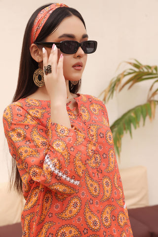 2 Pcs Printed Lawn Suit - SASHA